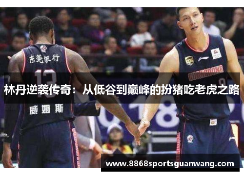 林丹逆袭传奇：从低谷到巅峰的扮猪吃老虎之路